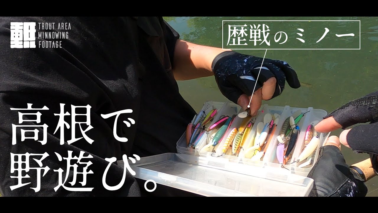 友人と高根トラウトマウンテンズでのんびり遊んできた #エリアミノーイング #エリアトラウト #管理釣り場