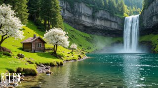 Gentle Music, Calms Anxiety and Supports Inner Healing 🌿 Healing Music for Heart and Mind