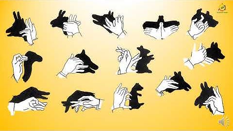 Standard 6: Lesson 14: Light and the formation of shadows: Part 1 of 2