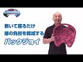 骨盤サポートシート BackJoy(バックジョイ)  とは