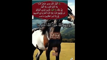 تلاوة طيبة مباركة من سورة هود