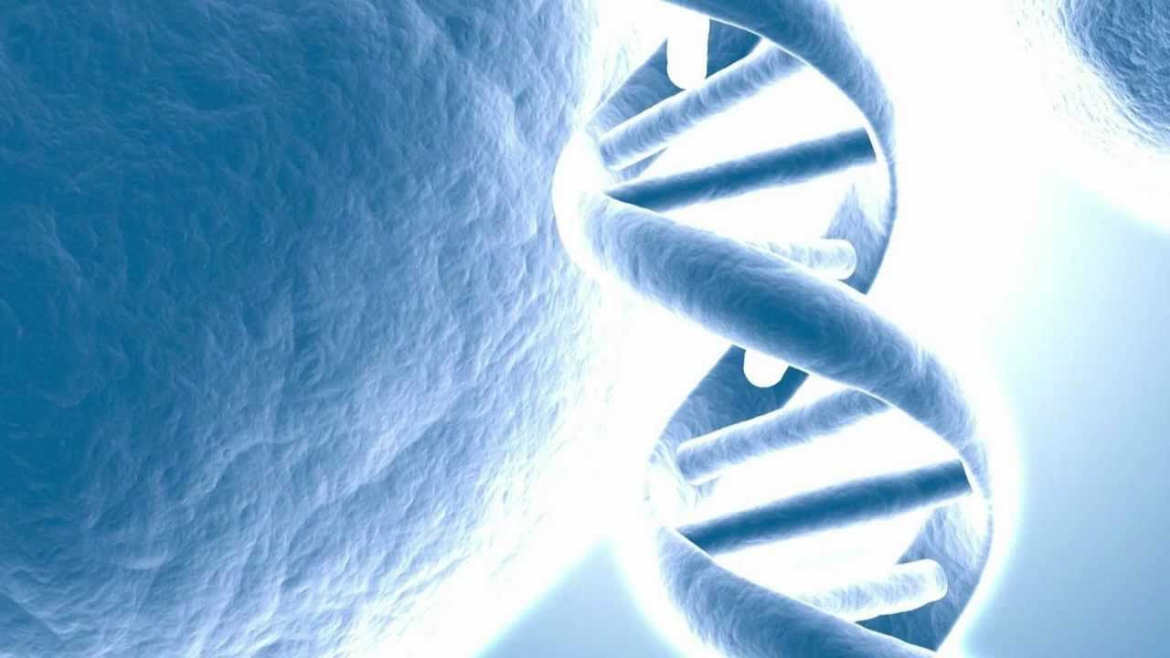 New DNA AS COMPUTER-LIKE REWRITABLE DATA STORAGE