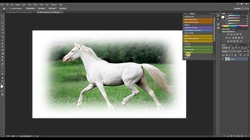RasterMe Tool - How to for Whites