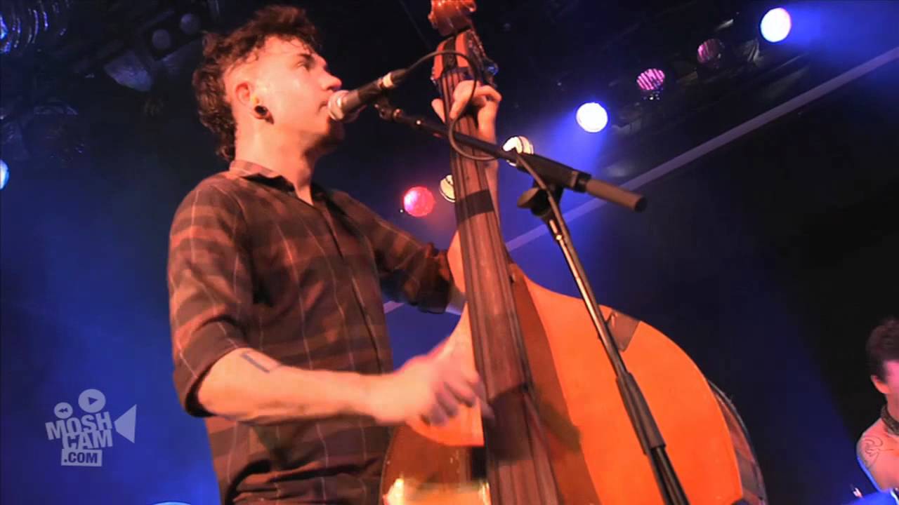 The Barons Of Tang - The Dogs Of Rotterdam | Live | Moshcam