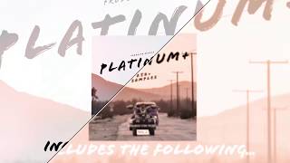 PLATINUM+ PRODUCER BUNDLE VOL 1 sample pack