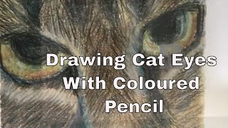 How To Draw Cat Eyes With Coloured Pencil How To Draw Cat Eyes With Coloured Pencil
