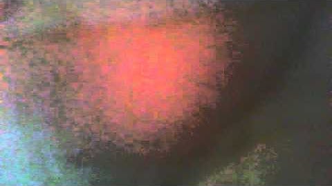 Cod Mwr Wii Friend Code exchange