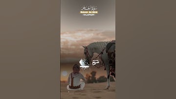 { ولقد نعلم أنك يضيق صدرك بما يقولون } سورة الحجر  #سورة_الحجر#قرآن#قران_كريم#تلاوة_خاشعة#راحة_نفسية