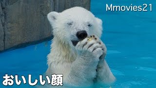 Polar Bears like corn とうきびは半分こ♪ ホッキョクグマ親子