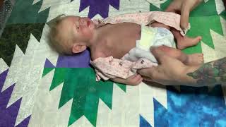 Silicone pixie by Bonnie Sebin