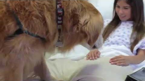 Non Profit Video Storytelling Made Easy