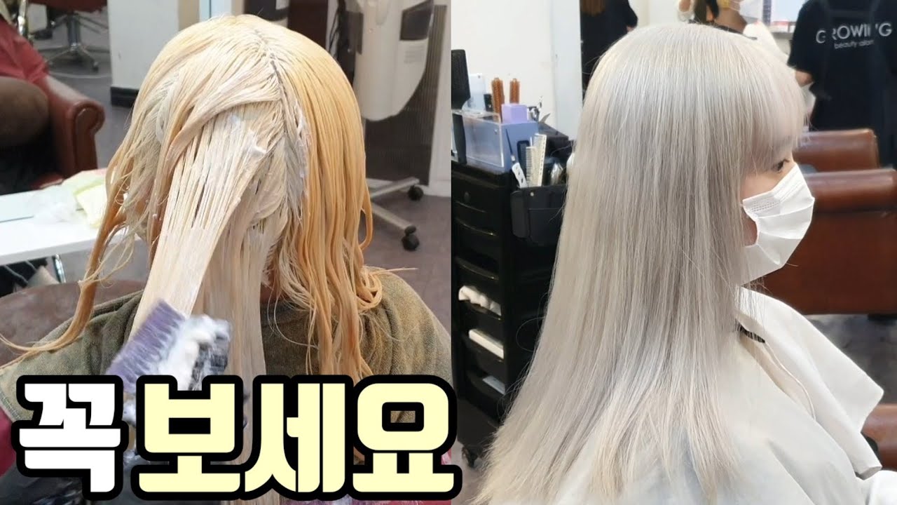 백금발 백모 염색 탈색 하는법 총정리(레시피,보색)