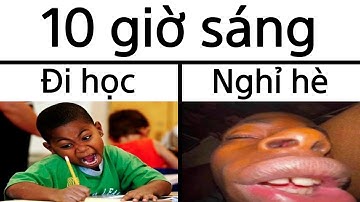 Đi Học và Nghỉ Hè