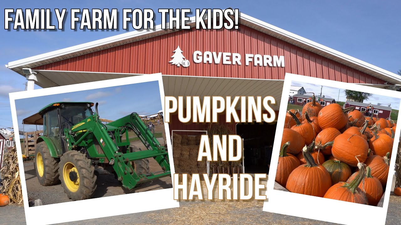 Pumpkins and Hayride Tour Gaver Farm Part 01 Mount Airy, Maryland, USA YouTube