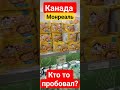 Канада. Монреаль