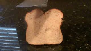 Bread Falls Over But Really Dramatic￼
