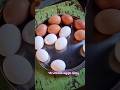 Jo cheez energy de… wahi best diet.Baki sab bakwaas #eggs #taklamotivation #gym #weightloss #shorts