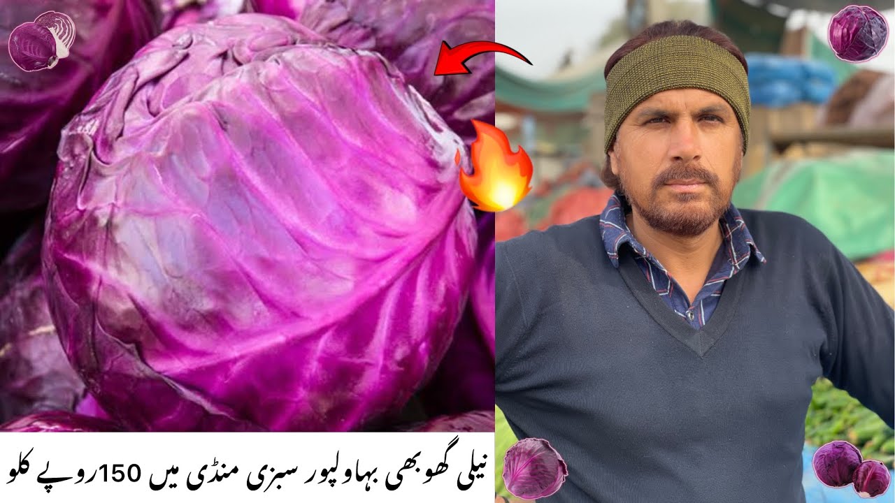 Bahawalpur Sabzi Mandi Mein Neeli Ghobhi Ka Rate 150 Rupey Kilo 🔥