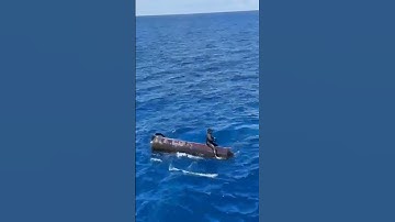 Thumbnail of While we're clearing out the foreign fish aggregating devices (FADs), let's start our route on th...