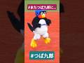 またつば九郎に…😢　歌詞とリンクしてしまってかわいいのに涙なしでは見られないリサイタル　#shorts #つば九郎