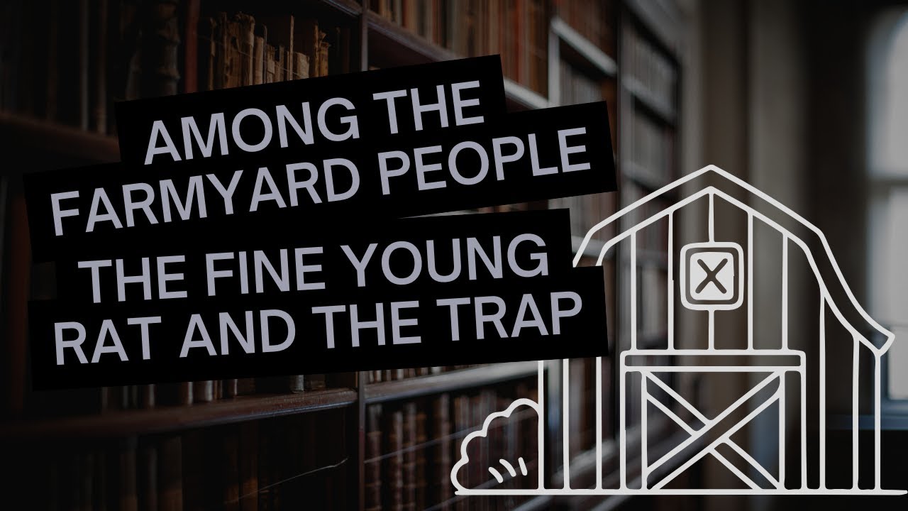 Among the Farmyard People - part 14: The Fine Young Rat And The Trap | Read by The Enchanted Library