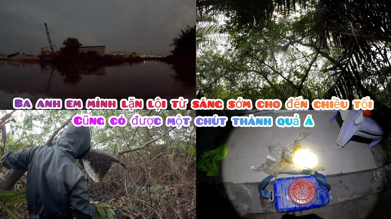 Hôm Nay Mấy Anh Em Mình Đi 2 Môn Phối Hợp Cũng Có Được Một Chút Thành Quả Á 