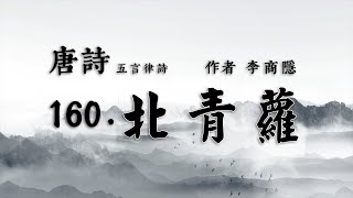 唐詩第160首-北青蘿