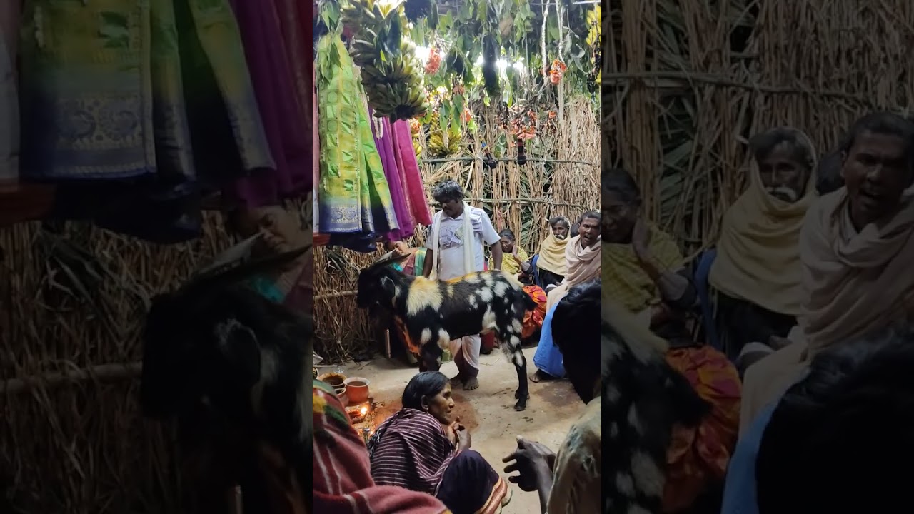 Nunela yarrayya gollasaduvu 