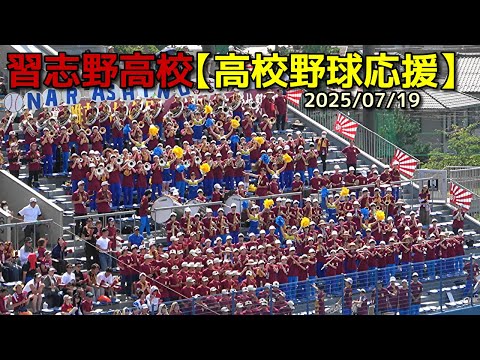 本日発送　習志野高校　野球部　2025応援 セット 本日発送 習志野高校 野球部 2025応援 セット - メルカリ