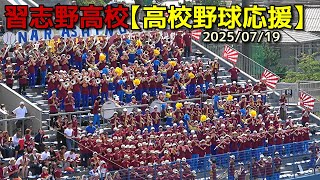習志野高校　野球部　応援グッズ 2024 習志野高校 野球部 2024応援 Tシャツ L 新品 高校野球 ロッテ