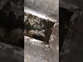 Lazy River in duct work #hvac #youcantmakethisstuffup