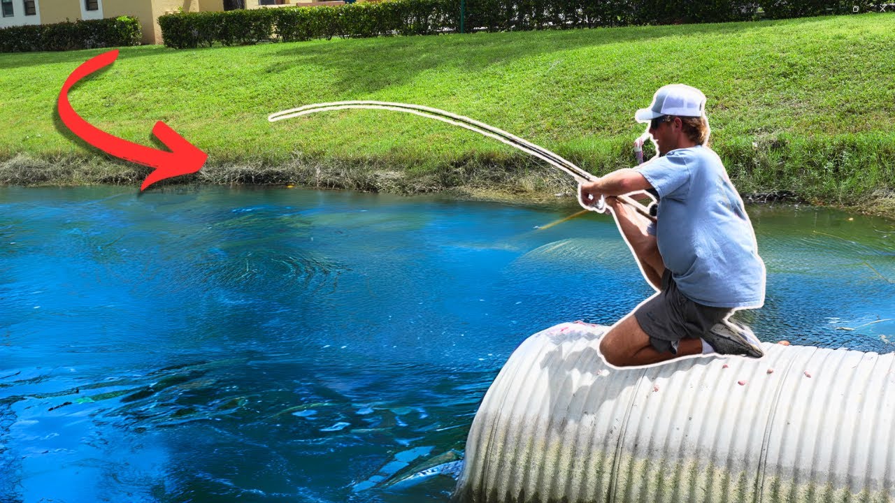 URBAN Fishing Miami in a HURRICANE! + Snakehead Catch & Cook