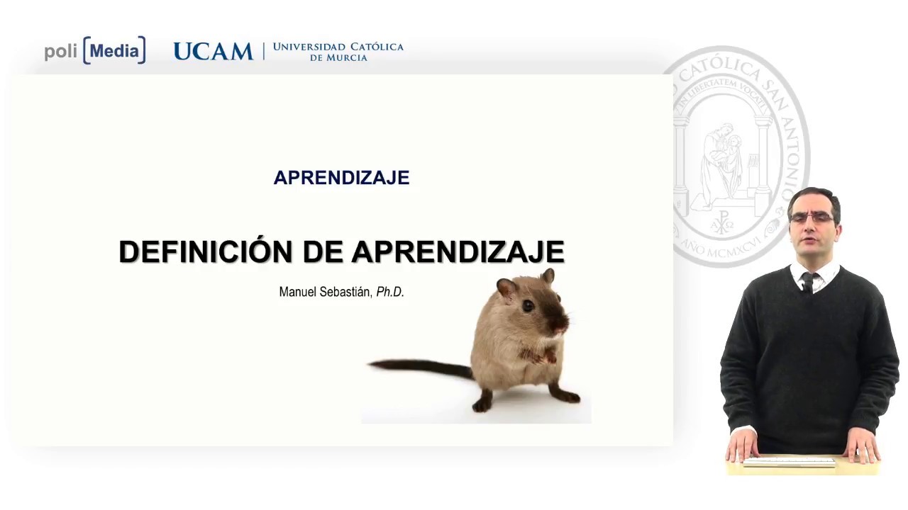 Aprendizaje - Definición de Aprendizaje - Manuel Sebastián Carrasco - YouTube