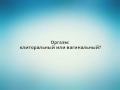 Оргазм: клиторальный или вагинальный?