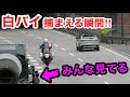 【激録】側道から速い車を狙う白バイ‼️ 捕まえる瞬間 ２連発‼️　[サイレン 取り締まり]