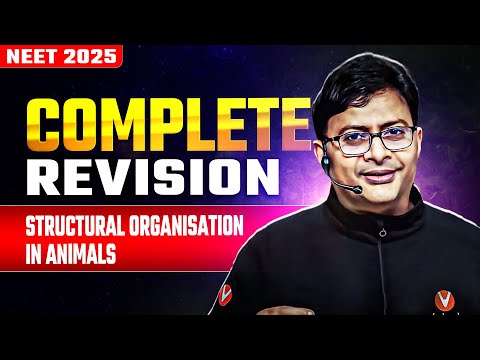 Structural Organisation in
