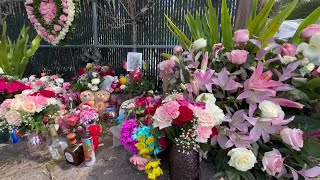 Teen arrested in deadly Naples Manor shooting; report shows possible motive