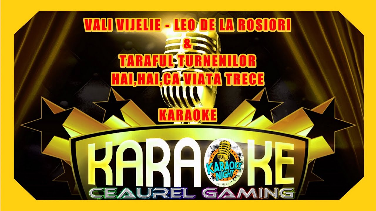 Vali Vijelie si Leo de la Rosiori Hai,hai,ca viata trece KARAOKE