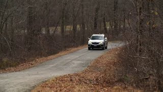 How to avoid hitting a deer