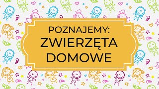 Edukacja zdalna - Poznajemy: ZWIERZĘTA DOMOWE