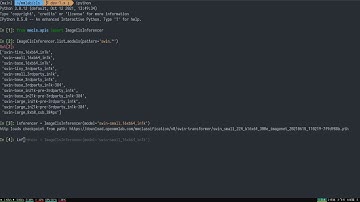 【MMClassification】Demonstration of inference API