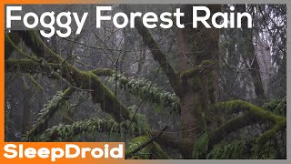 ► Fall Asleep Fast ~Foggy Forest Rain Sounds for Sleeping, Sleep All Night (Lluvia para dormir)