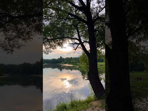 Приятное вечернее настроение