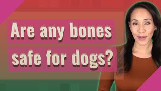 Are any bones safe for dogs?