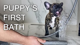 Bathing Puppy For The First Time / HE LOVES WATER