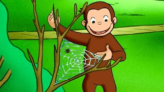 A Grande Teia de Aranha do George! 🐵 George, o Curioso 🐵 Desenhos Animados