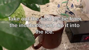 How To Calibrate Your STC 1000