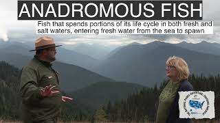 The National Parks Adventure: Crossing America Olympic National Park