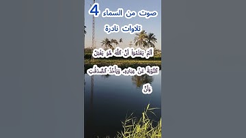 صوت من السماء 4 .. تلاوة نادرة #قرآن #قران_كريم #قران #قرآن_كريم #اكسبلور#الشيخ مبارك#الشيخ