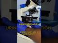 Urine examination |Urine microscopy examination |urine test #dmltstudent #knowledge #labtechAjmer
